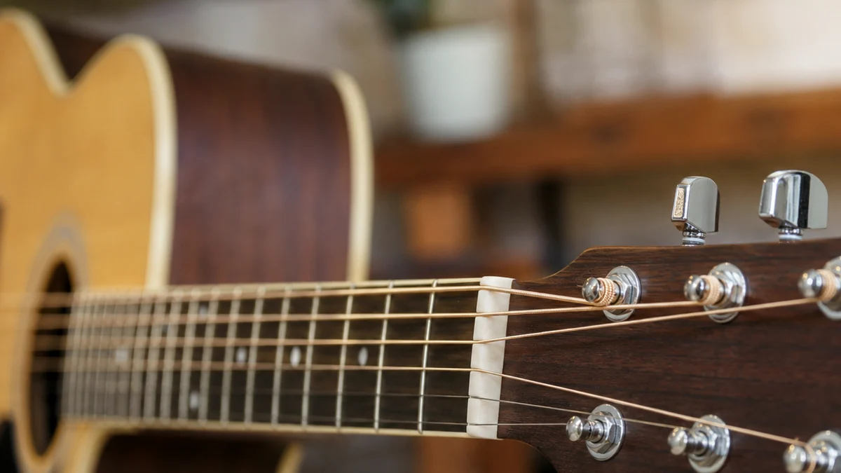 Vibrato Guitar Technique Explained: Beginner Guide practice image Vibrato Guitar Technique Explained: Beginner Guide practice image